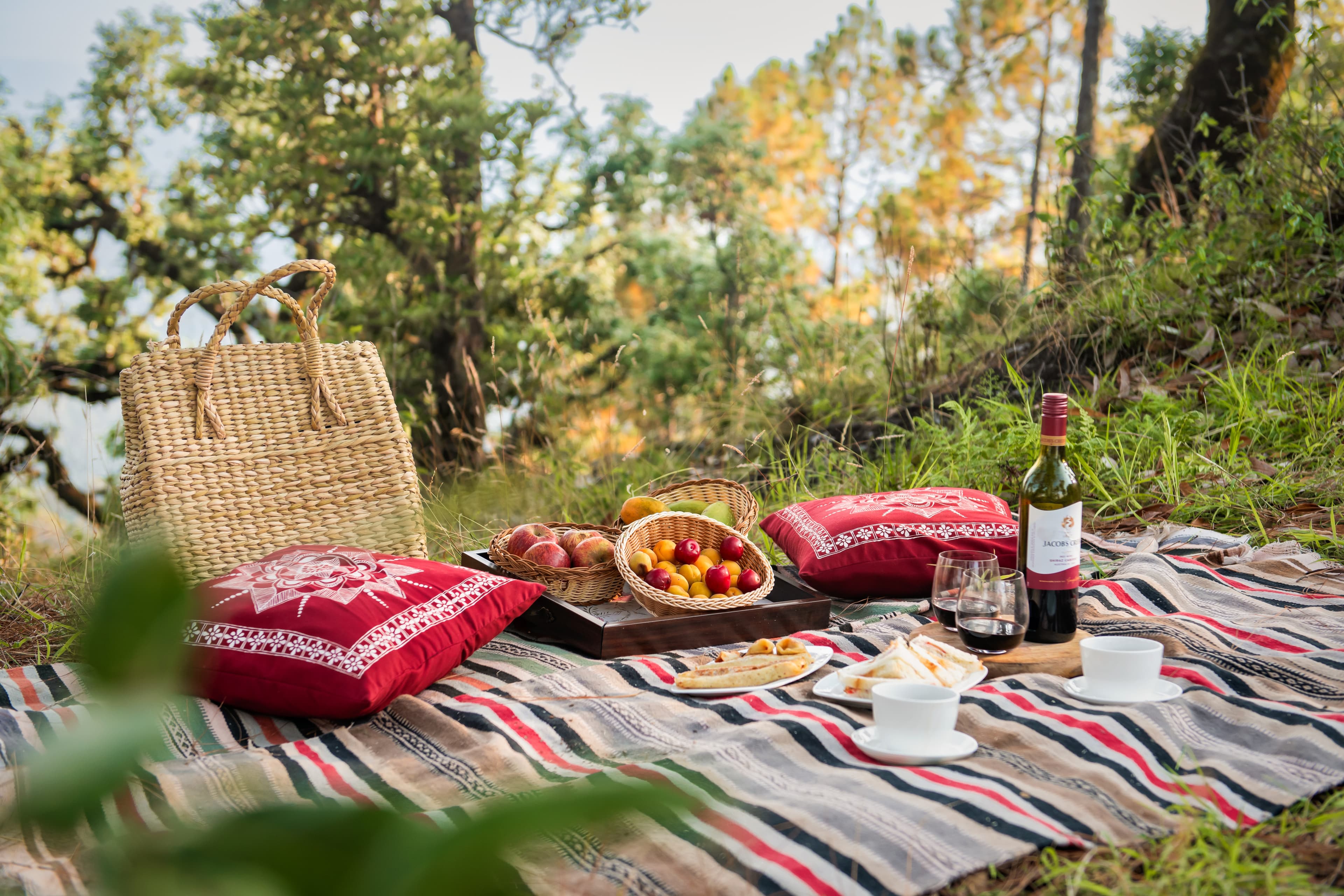 Village Picnic