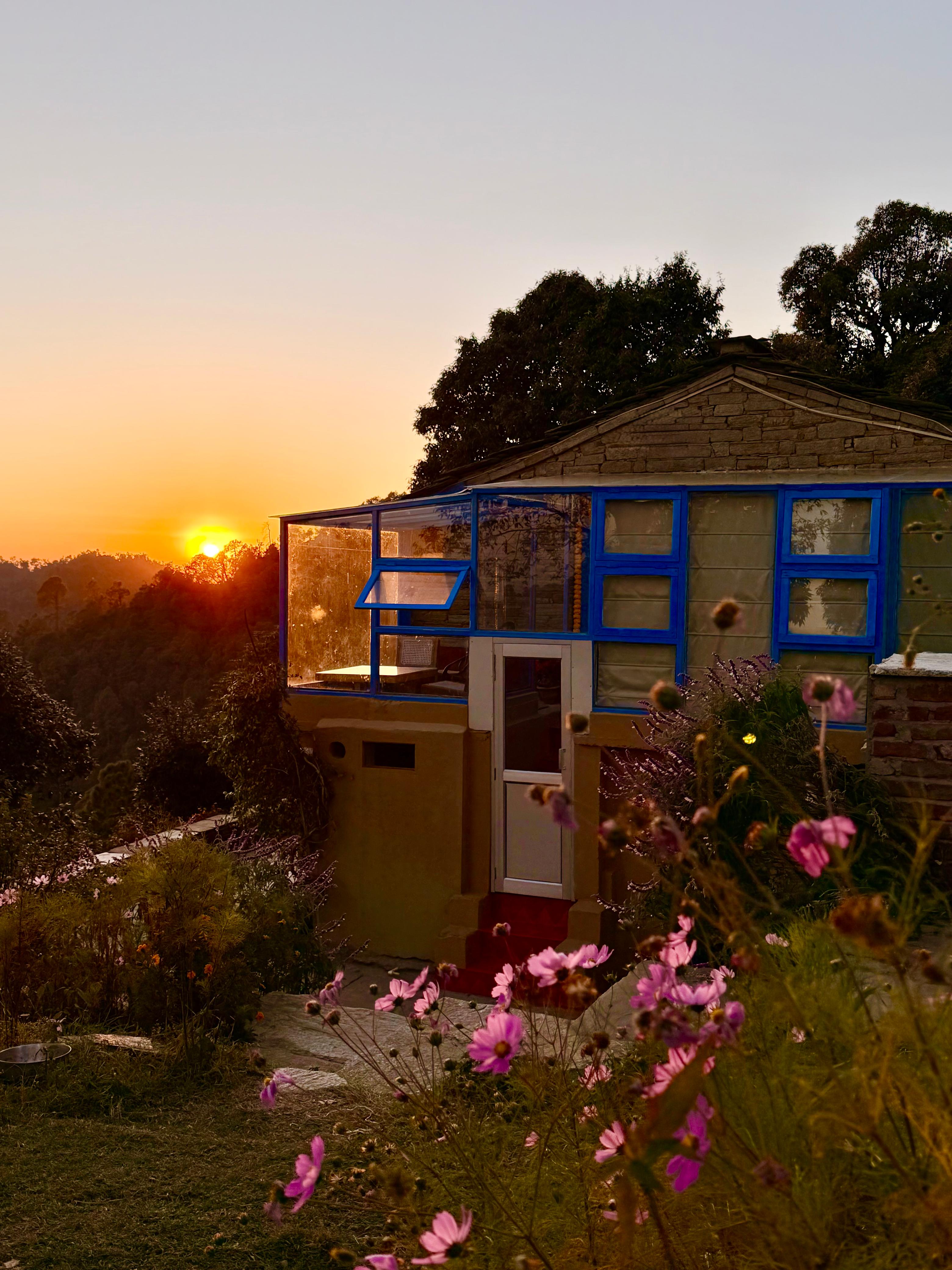 Golden hour on the ridge