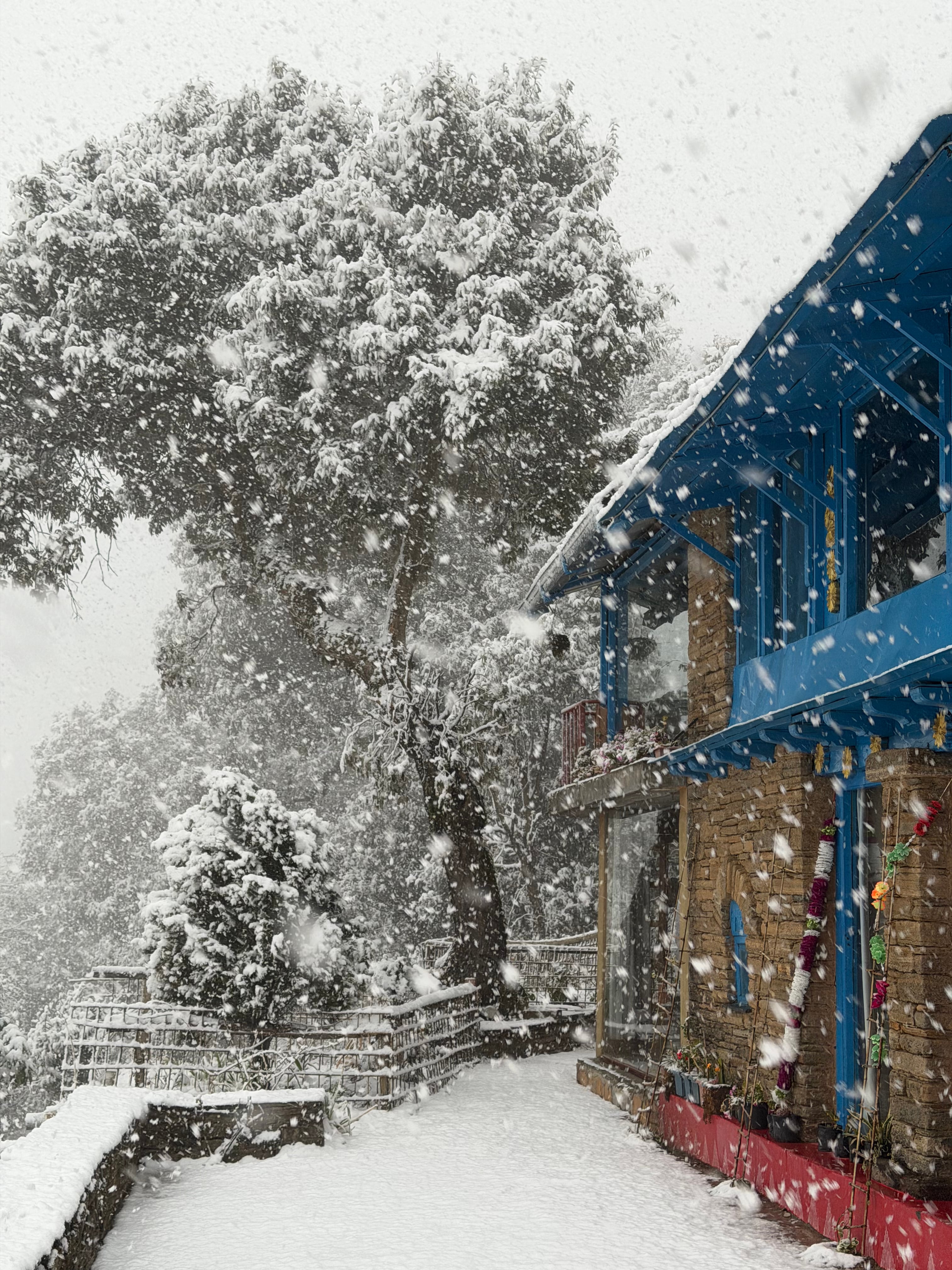 Winter snow on the ridge
