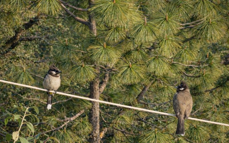 WhatsApp Image 2026-03-28 at 20.38.59